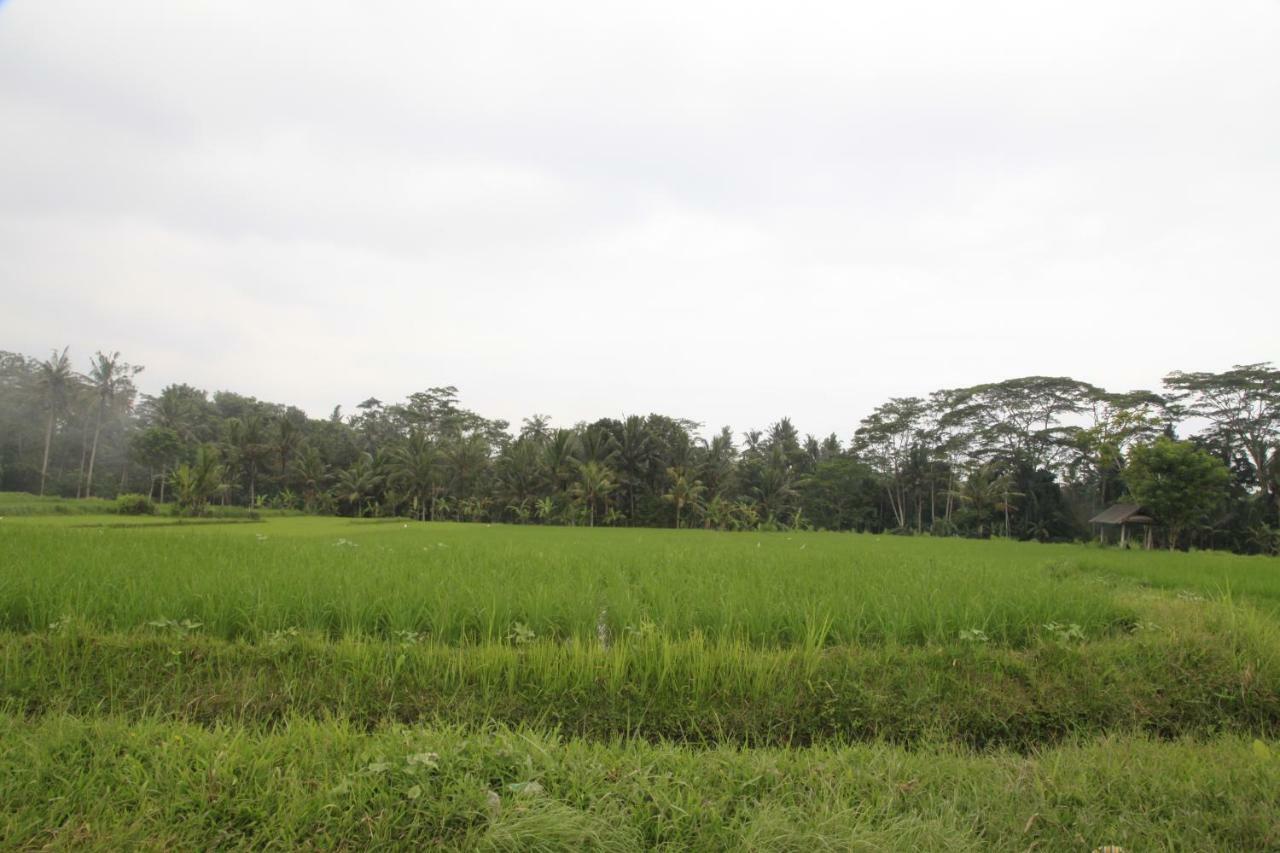Pondok Gepokan Homestay Ubud Kültér fotó