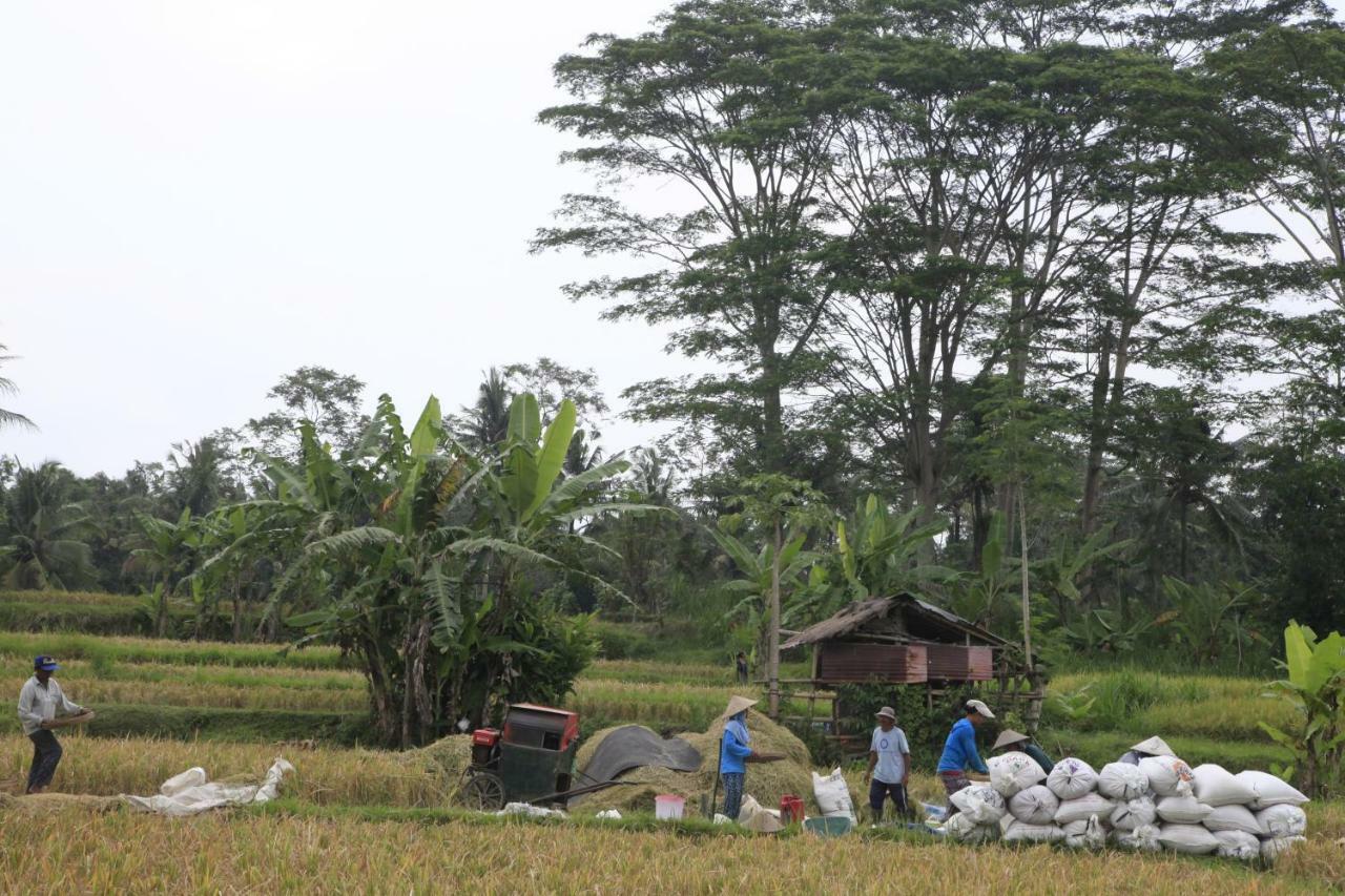 Pondok Gepokan Homestay Ubud Kültér fotó