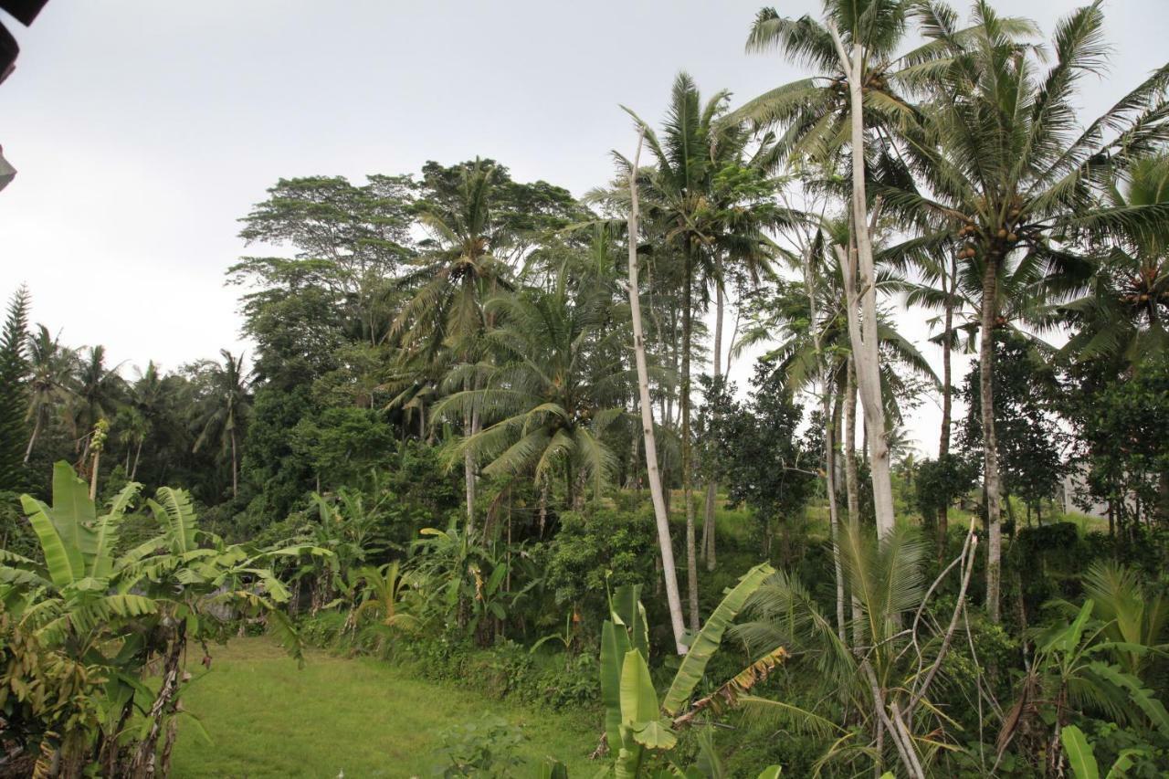 Pondok Gepokan Homestay Ubud Kültér fotó