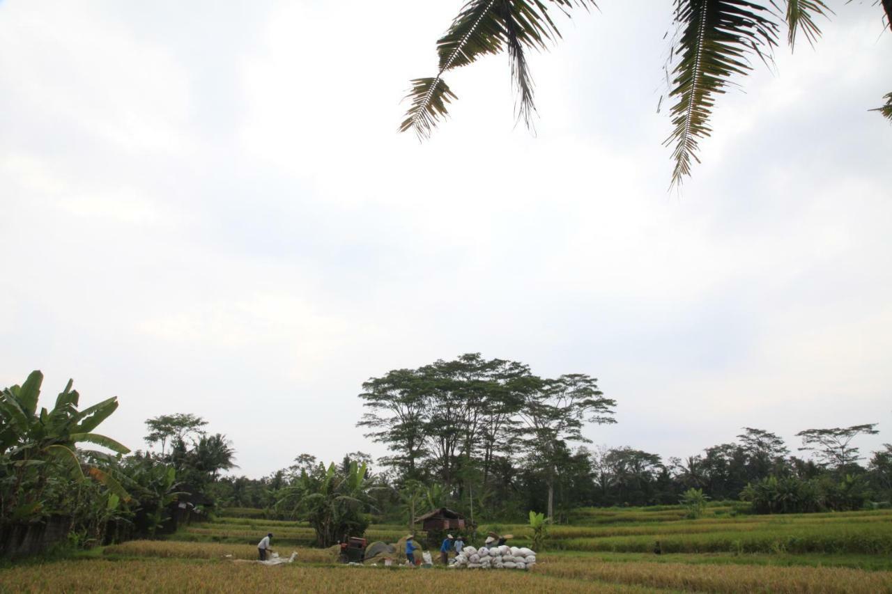 Pondok Gepokan Homestay Ubud Kültér fotó